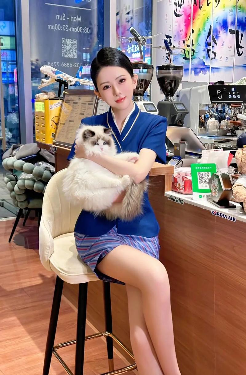 蓝天航空的空姐全文在线阅读 | 热门小说推荐