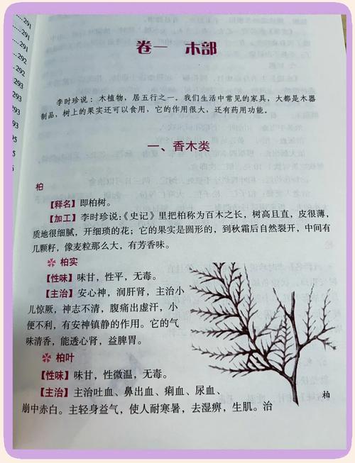 大主宰免费在线阅读全文无弹窗-最新章节超清完整版