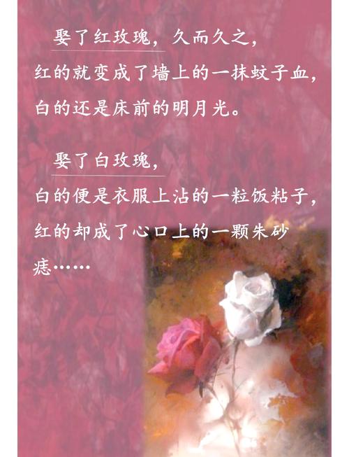 修仙聊天群在线阅读 - 热门仙侠小说最新章节更新