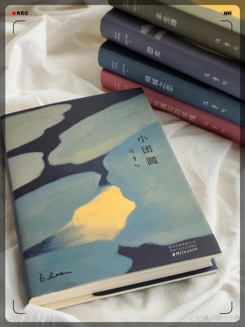 玩的就是心跳在线阅读 | 王朔经典小说全文免费阅读