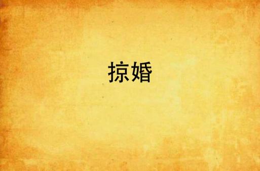 掠婚小说免费阅读在线 - 热门全集无广告