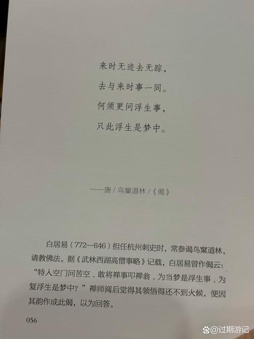 《再青春》全文免费在线阅读_辛夷坞经典小说再青春