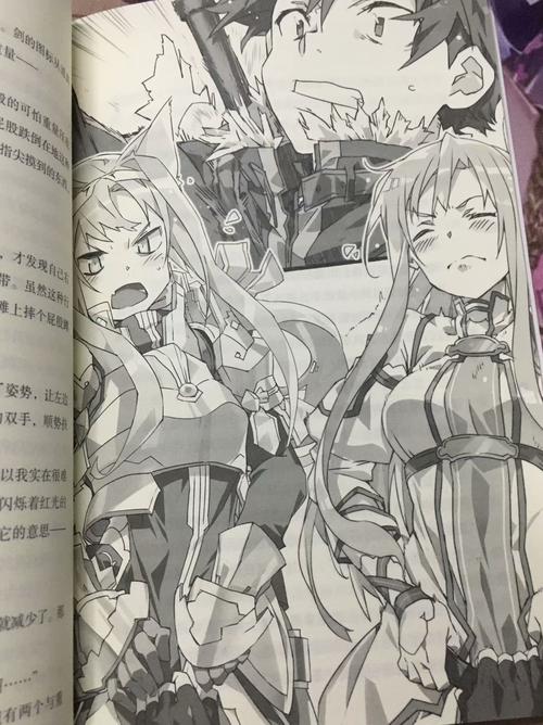 刀剑神域21卷在线阅读：桐人亚丝娜再战UW新章