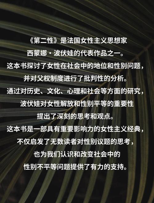 第二性在线全文免费阅读 - 波伏娃经典女性主义著作