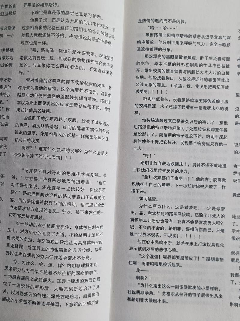 少阿兵宾小说全文在线阅读，精彩章节免费看