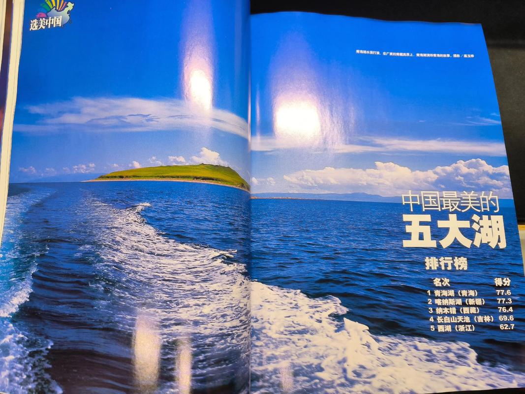 多男强轮一女人小说全文阅读，禁忌情感与命运纠葛