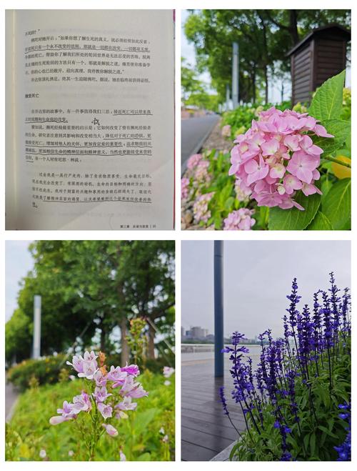 萧逸武侠小说全集在线阅读全文，经典武侠小说免费看