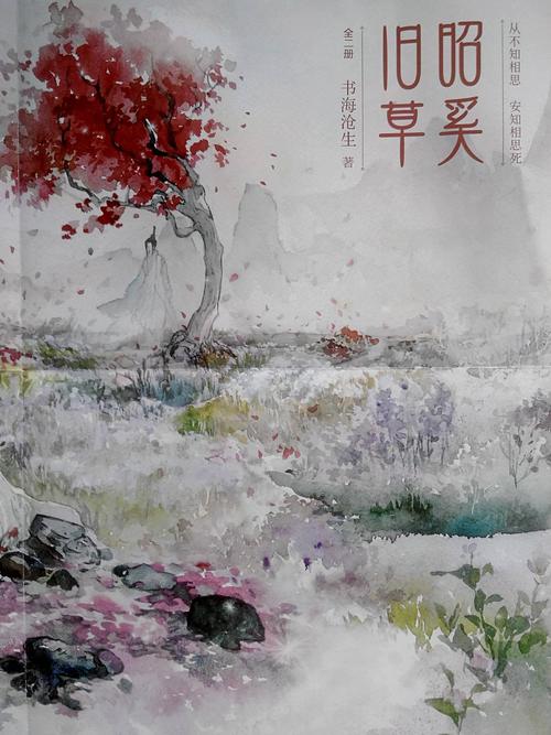 昭奚旧草全文免费在线阅读 | 经典古言小说推荐