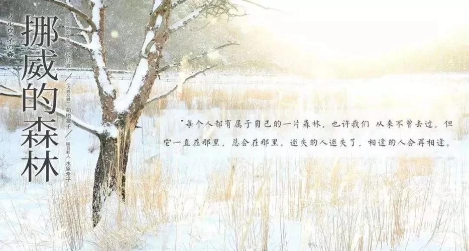小芳乱小说txt在线阅读的相关介绍