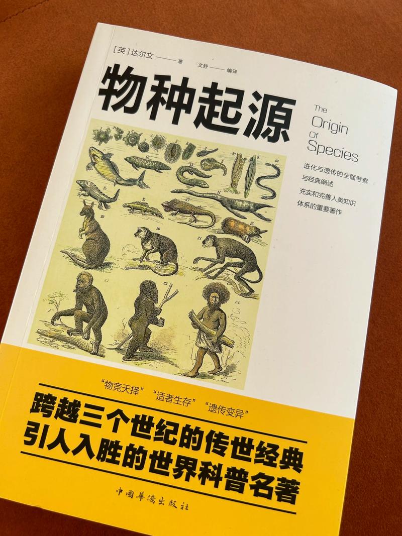 龙族5在线阅读全文江南｜路明非终极决战，黑月之潮终章