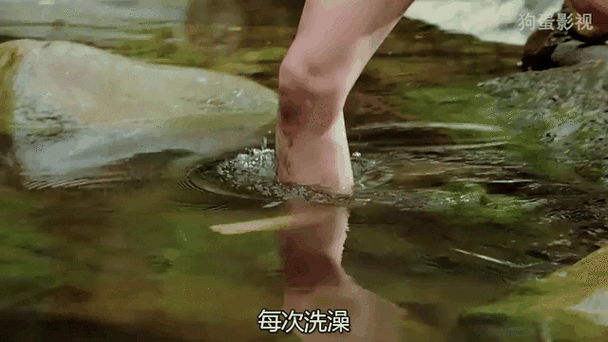 猛男诞生记在线阅读 - 热血逆袭,从平凡到巅峰的成长史