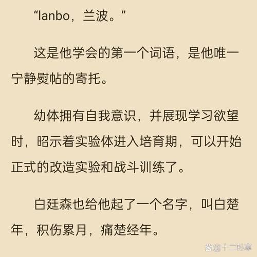 空姐情欲小说在线观看 | 高能禁忌恋