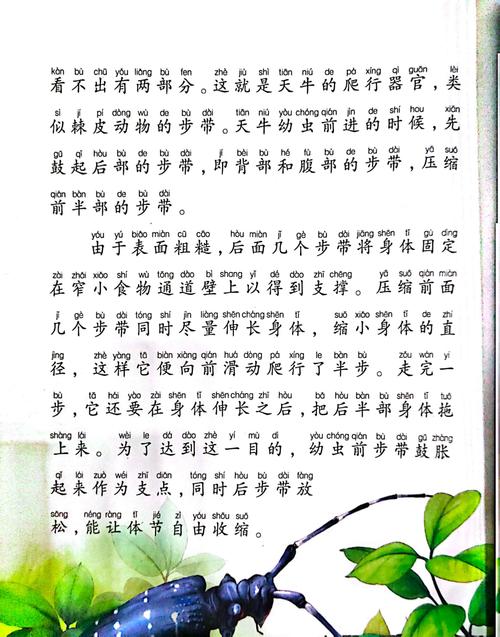 昆虫记在线阅读全文：法布尔经典昆虫学巨著完整版