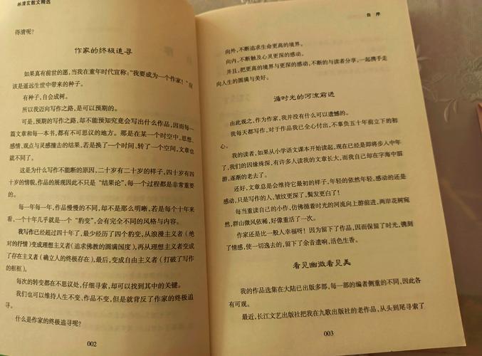 少阿宾宾在线全文阅读:完整版无删减小说免费畅读