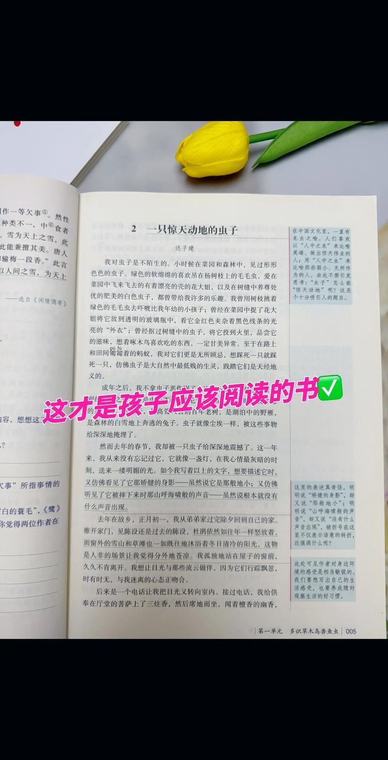 金牌王妃全文在线阅读 | 热门古言小说免费章节
