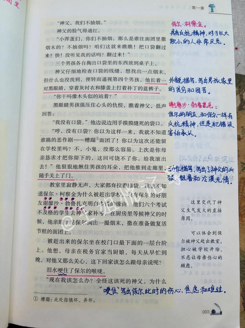 包法利夫人在线阅读 | 经典名著全文免费读