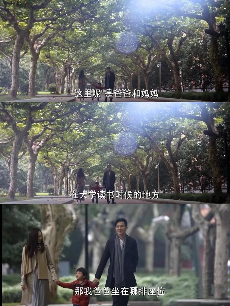 老房子的春天全文免费阅读 - 情感生活小说在线看
