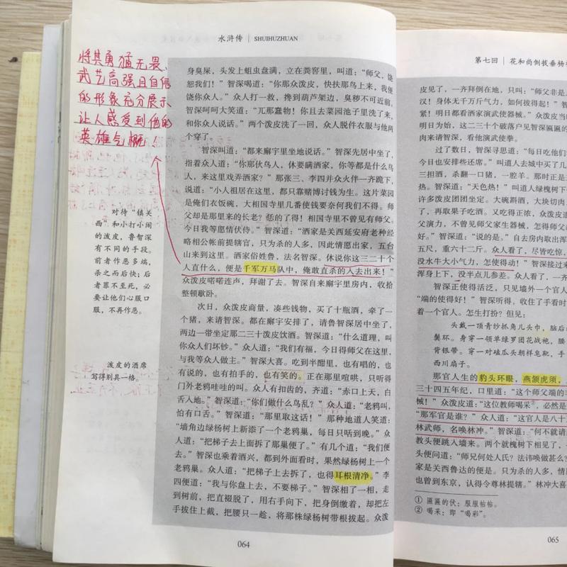 少阿兵宾小说全文在线免费阅读,一口气看完精彩剧情