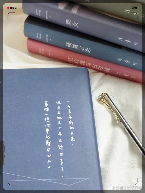亦舒小说在线阅读 | 经典言情作品全集免费阅读