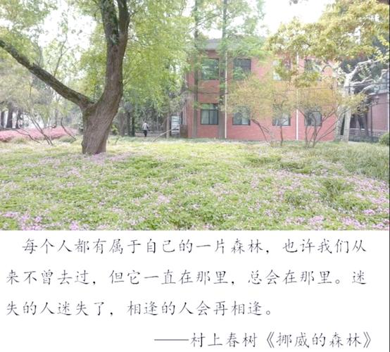 猎人笔记在线阅读 | 屠格涅夫经典作品全集