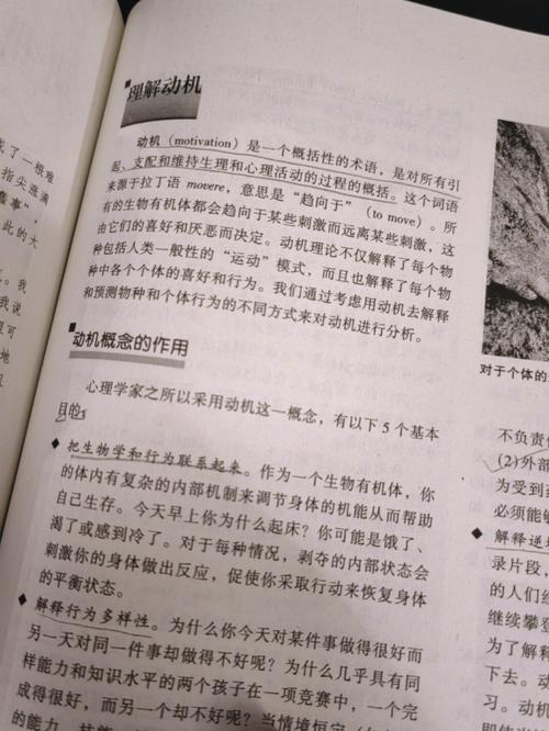 少阿宾宾在线全文阅读 | 热门小说免费无删减